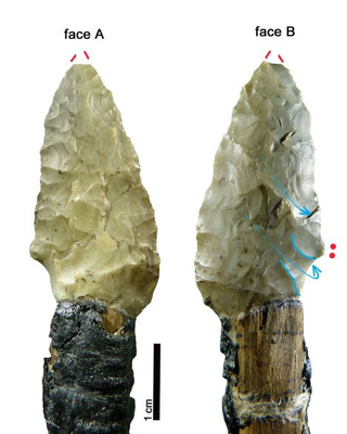 Illustration for article titled Una nueva investigación revela cómo fueron las últimas horas de Ötzi, el Hombre de Hielo
